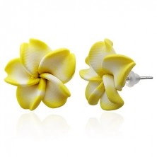 FIMO naušnice - bijeli i žuti cvijet